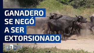 Grupo delictivo roba 30 búfalos de un rancho por no pagar “cuota” en Veracruz