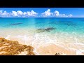 1 Hour of Beautiful Beach Waves in 4K (St. Maarten Video 2020)