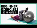 15 Minute Beginner Exercise Ball Workout- Workout with Jordan