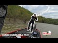 Flipping Shallow Bushes for GIANT TENNESSEE BASS!! (Dale Hollow Lake)