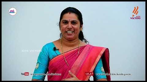 First Bell 2.0 STD 05 Social Science Class 11