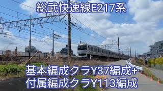 総武快速線 E217系Y37+113編成【20240417】