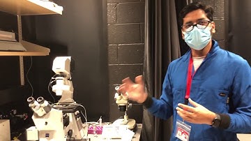 Look Into the Lab Series - Erel Levine