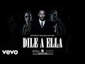 Don Omar - Dile A Ella ft. Magnate & Valentino