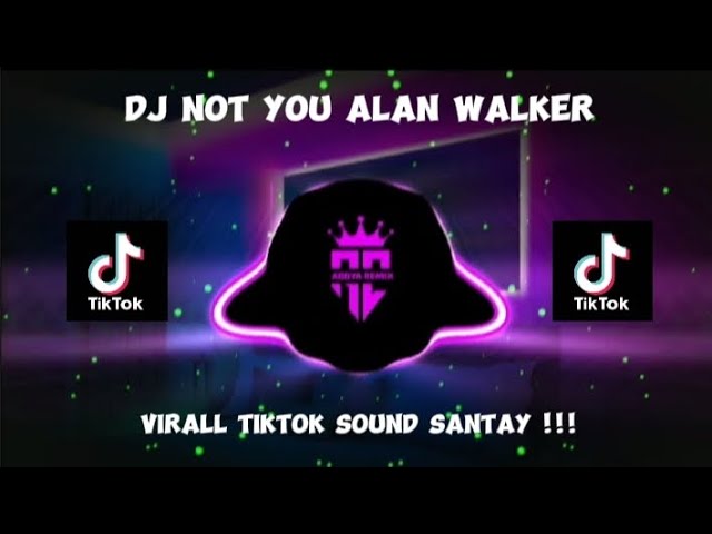 DJ NOT YOU ALAN WALKER SLOWWED VIRALL TIKTOK class=
