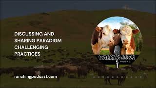 Ep. 011 – Dr. Trey Patterson – Heifer Development | Working Cows