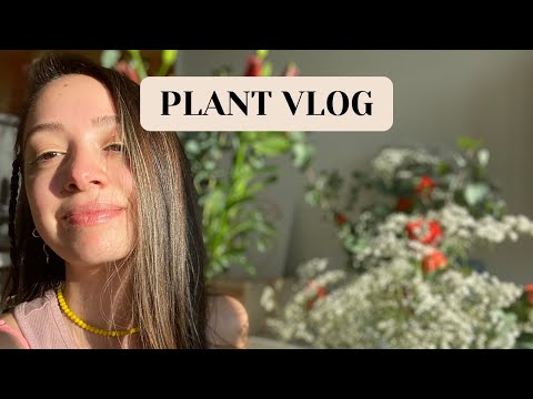 სახლის მცენარეების ტური || VLOG 3 || HOUSE PLANT TOUR