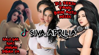 KOMPILASI TIKTOK DJ SIVA APRILIA || GATAU BERAPA UKURANNYA, NIKMATIN AJA BOSSS!!!