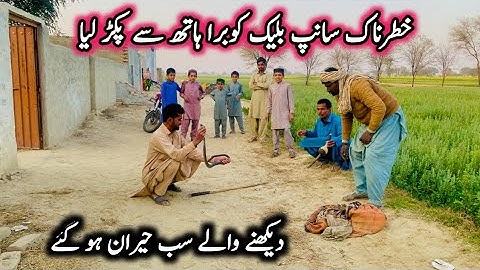 Dangerous Snake Black Cobra  Hat Say Paker Liya 😱Dekhny Waly sab hiran #AsgharBhai