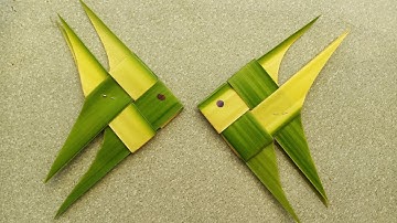 c7/ Cách làm con cá bằng lá dừa đơn giản đẹp dễ làm nhất.