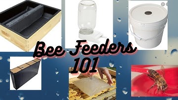 Bee Hive Feeders 101...  What type of bee feeder should I use?