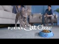 Purina Cat Chow Everybody S WOW About The Chow Chow Chow 