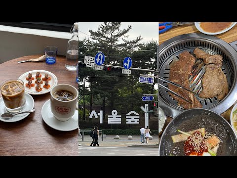 (vlog)2년반 만의 서울에서 남친 여동생이랑 첫 만남 2年半ぶりのソウルで彼氏の妹とドキドキの初対面💙ソンスを探索|高速ターミナル|韓国留学 KR/JP
