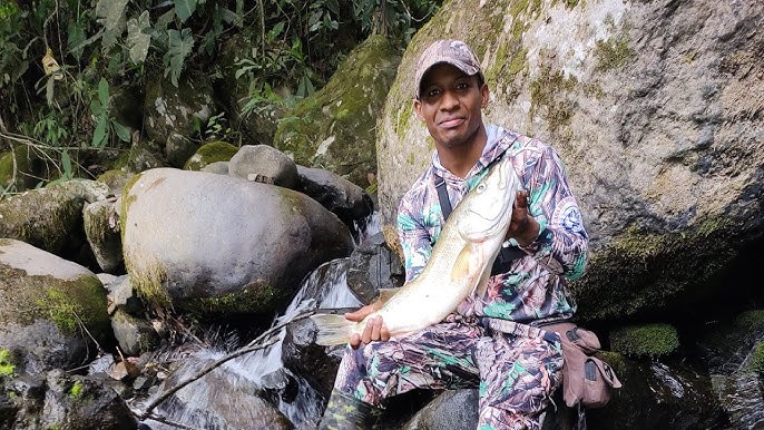 Juego de pesca con imanes de zorro de esclusa con 65 Ecuador