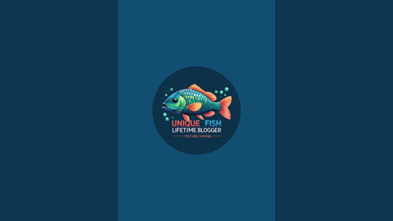 Unique Fish Lifetime Blogger is live!
