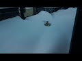 散歩待ちのケルベロス WINTER