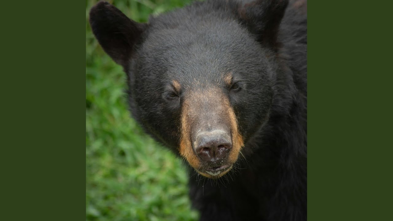 Ruth Has the Smelliest Farts (Ruth Poop)