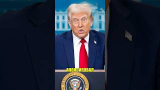 Трамп звонит Путину #трамп #путин #политика #переговоры