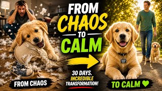 30 DAYS INCREDIBLE TRANSFORMATION-FROM CHAOS TO CALM