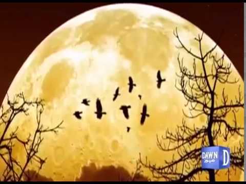 Supermoon November 2016