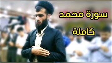 القارئ رزكار محمد الكردي:الذين كفروا وصدوا عن سبيل الله أضل أعمالهم والذين آمنوا وعملوا#سورة_محمد