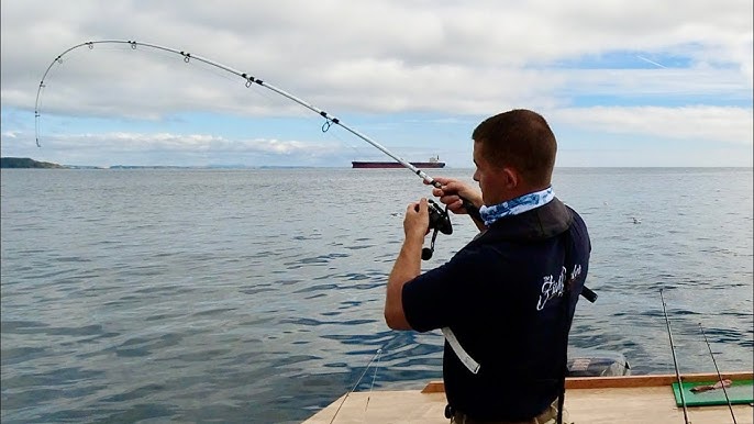 Harbour and Pier fishing for beginners - How to fish with Live