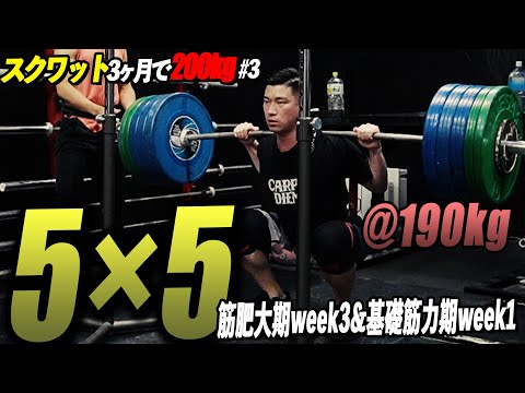 陸上　　筋トレセット　5種 ランニングウェア メンズ トレーニングウェア 5点セット