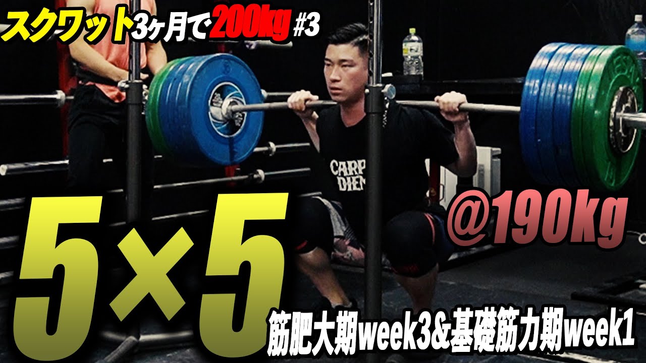 【スクワット】”5×5”基礎筋力期に突入!!徐々に高重量へ...190kgまでセットを組む!!【スクワット3ヶ月で200kg企画 #3】
