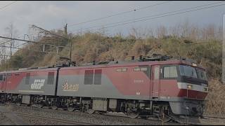 日和田駅2番線を通過する東北本線貨物列車3053レ＿EH500の6号機＿2026年3月撮影