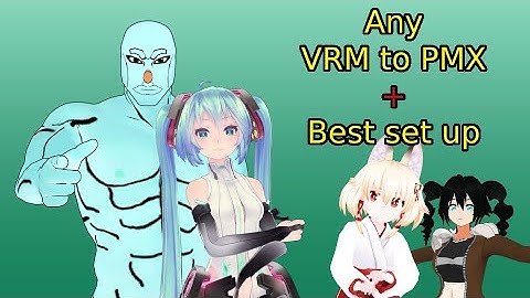 Any VRM to PMX- Updates, errors and best set up