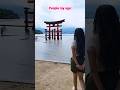I booked another flight!! ✈️😬 #japan #travel #Miyajima