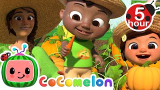 Cody's Farmhouse   More | CoComelon - Cody's Playtime | Songs for Kids & Nursery Rhymes