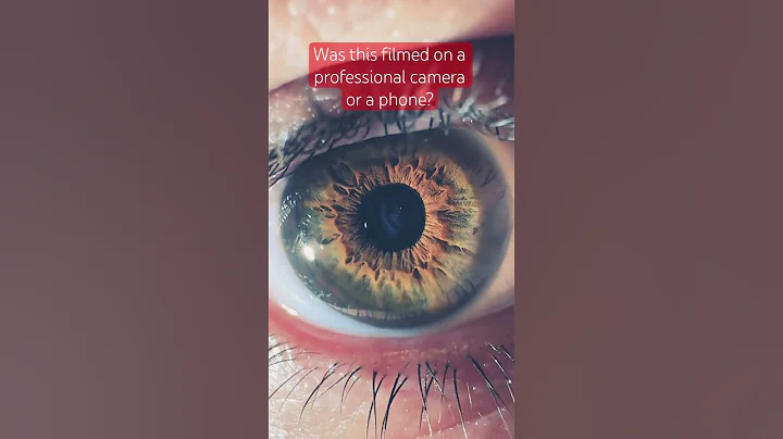 Iris Shot - iPhone 17 Pro Max Vs Professional Camera