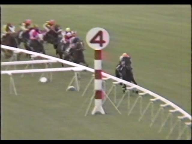 第13回 サファイヤステークス G3 （1995/9/23・京都） ブライト