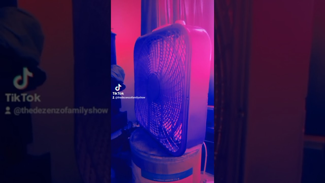 Aesthetic box fan sounds on high with rain sounds!
