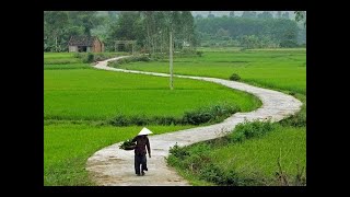 Saxophone-Về Quê Saxophone Trần Mạnh Tuấn