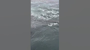 the power of CPP Propeller #crash astern and ahead test