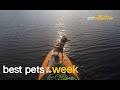 Time for An Adventure | Best Pets of The Week