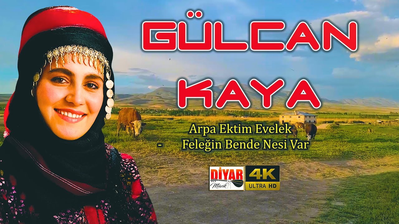 Gülcan Kaya - Arpa Ektim Evelek / Bilmem Şu Feleğin Bende Nesi Var