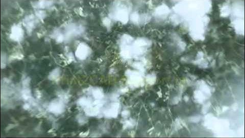 PDF to DWG Conversion with Print2CAD 2012