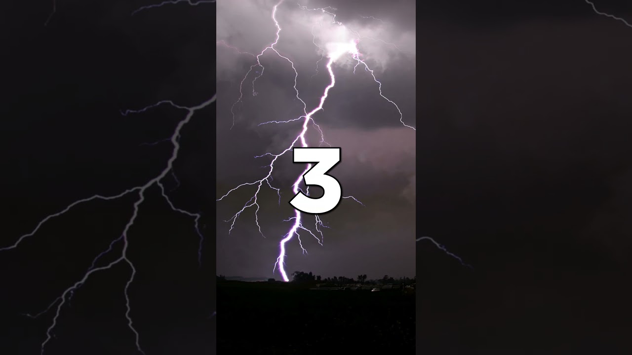 Top 5 Chill-Inducing Videos