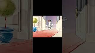 Tom And Jerry ..