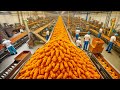 CÓMO se HACEN los NUGGETS de POLLO 🐔 | ASÍ se PRODUCEN TONELADAS