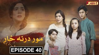 Mor Darna Zar | Episode 40 | Pashto Drama Serial | HUM Pashto 1