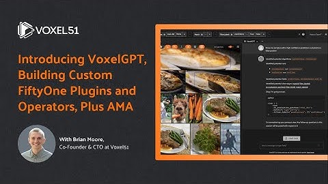 Introducing VoxelGPT & Building Custom FiftyOne Plugins