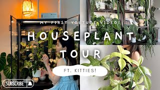 Plant tour | my houseplant collection, rare plants grown in room humidity, + introducing my cats!