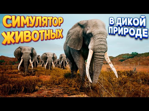 СИМУЛЯТОР ЖИВОТНЫХ В ДИКОЙ ПРИРОДЕ ( Animalia Survival )