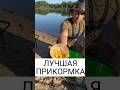 Мой Проверенный Рецепт Прикормки для Леща 🎣