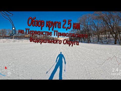 Обзор круга 2,5км на Первенстве Приволжского федерального округа по лыжным гонкам