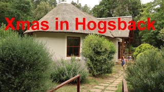 Xmas in Hogsback